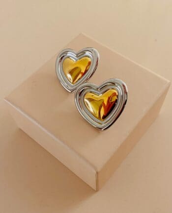 Orecchini Oro/Argento